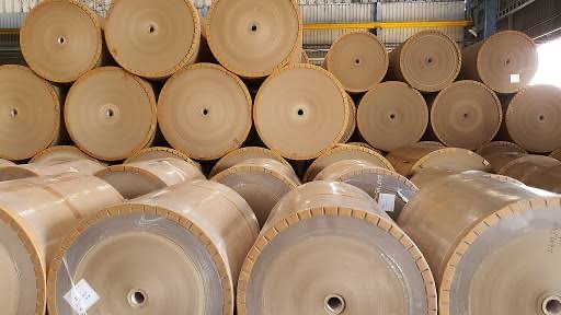 boxfleet-paper-roll-2